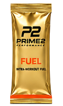 FUEL