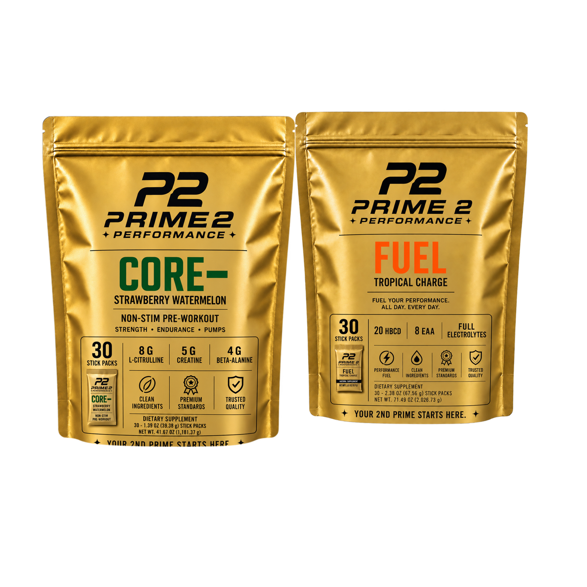 Core- and Fuel Bundle