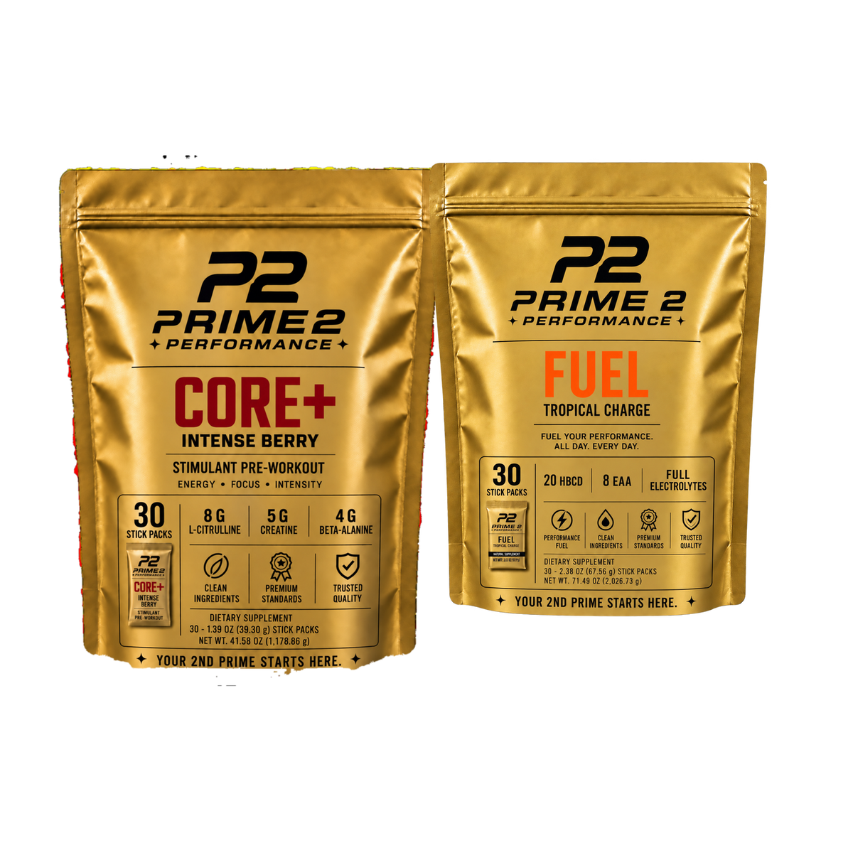 Core+ and Fuel Bundle